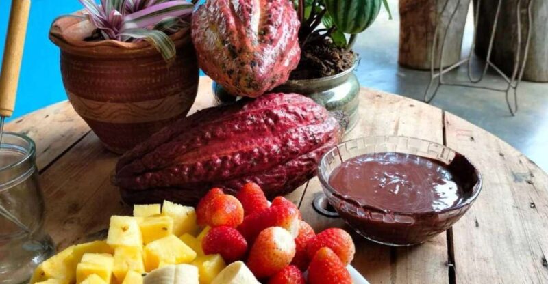 Cocoa Tour - San Rafael Antioquia From Medellín - Inclusions and Exclusions