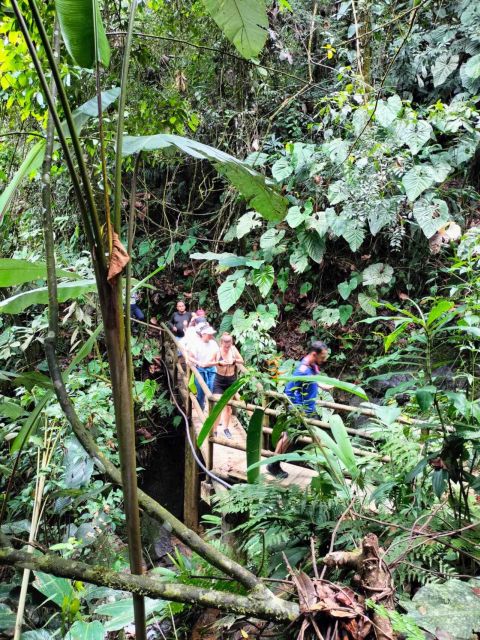Cocoa Tour - San Rafael Antioquia From Medellín - Recommendations