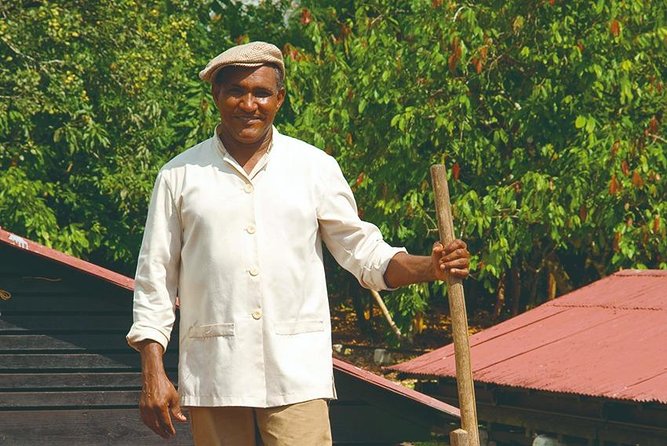 Cocoa Trail and Making of Chocolate Tour From Santo Domingo - Inclusions