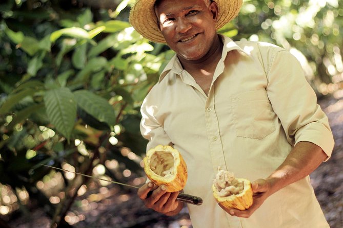 Cocoa Trail and Making of Chocolate Tour From Santo Domingo - Logistics