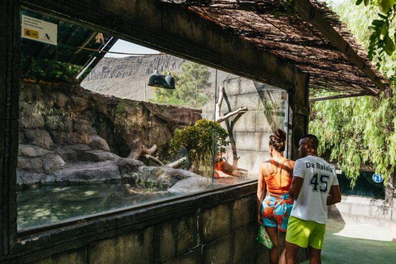 Cocodrilo Park Zoo Entry Ticket - Accessibility