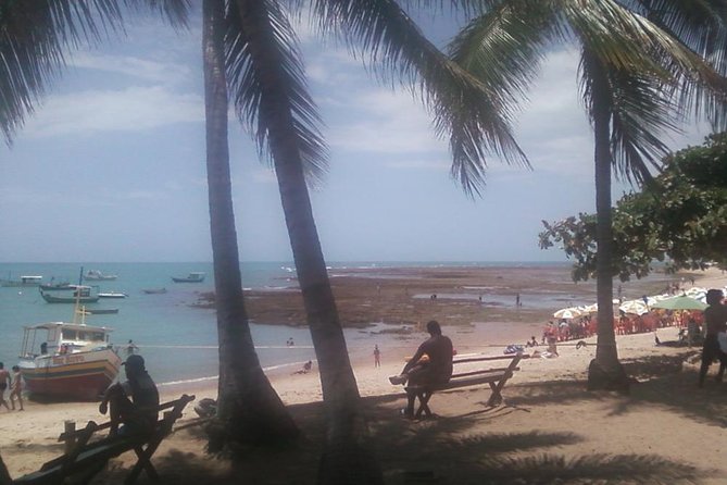 Coconut Coast and Praia Do Forte - the Famous Beaches - Transportation and Pickup