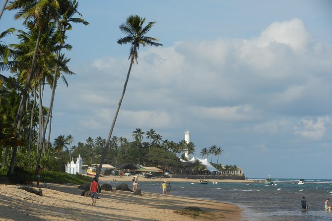 Coconut Coast and Praia Do Forte - the Famous Beaches - Recommended Activities