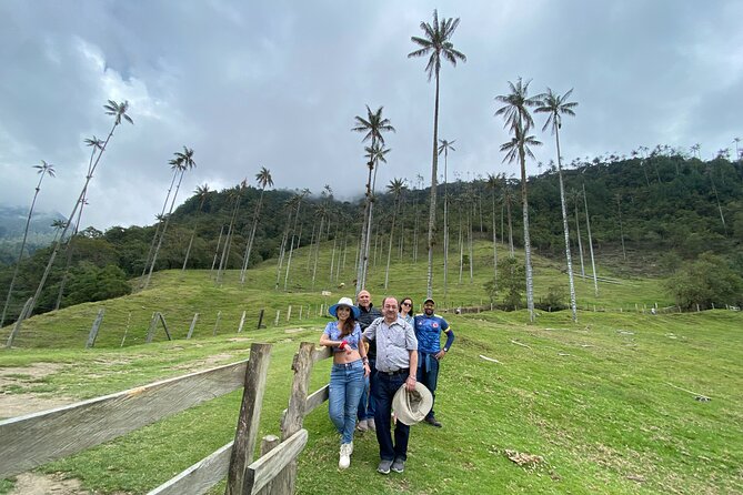 Cocora, Salento and Coffee Experience - Majestic Wax Palm Trees