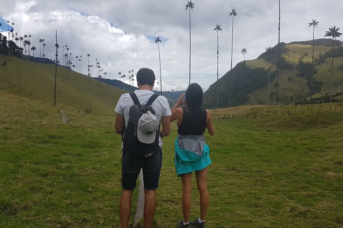 Cocora, Salento and Filandia (The Daughter of the Andes) Walking Tour in Quindio - Personalized Experience With Knowledgeable Local Guide