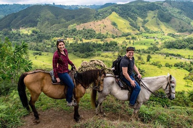 Cocora, Salento and Filandia Tour - Inclusions and Transportation