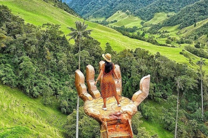 Cocora Valley and Coffee Farms Tour - Pickup Information