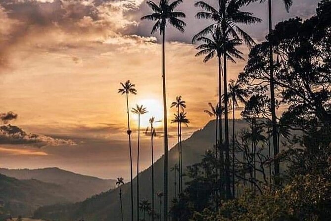 Cocora Valley and Salento Hike Tour - Essentials to Bring