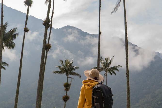 Cocora Valley and Salento Horseback Riding Day Tour - Key Points