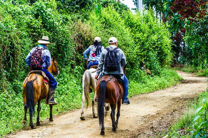 Cocora Valley and Salento Horseback Riding Day Tour - Inclusions of the Tour