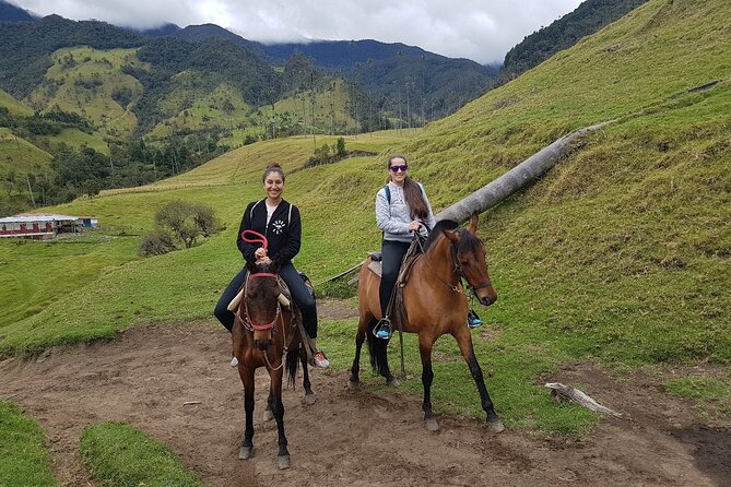 Cocora Valley and Salento Horseback Riding Day Tour - Exploring the Cocora Valley