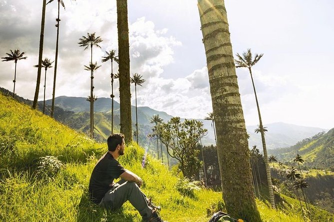 Cocora Valley and Santa Rita Waterfall Tour - Santa Rita Waterfall Visit