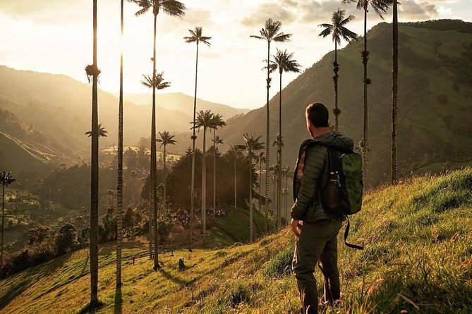 Cocora Valley and Santa Rita Waterfall Tour - Physical Requirements and Accessibility