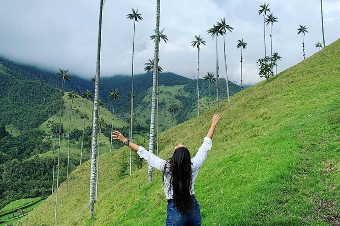 Cocora Valley and Santa Rita Waterfall Tour - Traveler Feedback