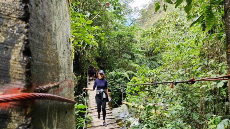 Cocora Valley: Route of the Hummingbirds + Breakfast & Lunch - Scenic Picnic Experience