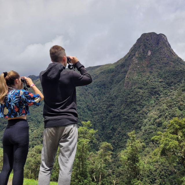 Cocora Valley: Route of the Hummingbirds + Breakfast & Lunch - Itinerary Details
