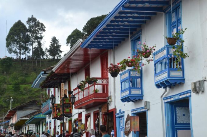 Cocora Valley, Salento and Filandia: Daily Departure - Customer Reviews