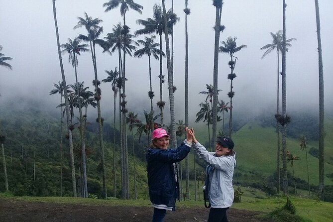 Cocora Valley, Salento and Filandia Full-Day Private Tour - Hands-on Basket Weaving