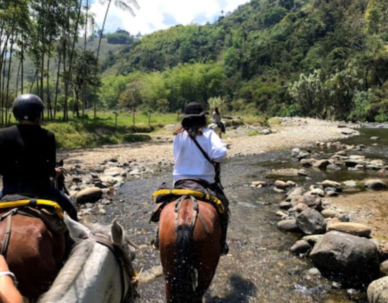 Cocora Valley: Salento & Private Horseback Riding Tour - Guided Tour Experience