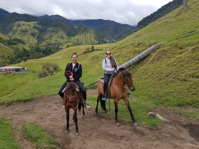 Cocora Valley: Salento & Private Horseback Riding Tour - Transportation and Pickup Options