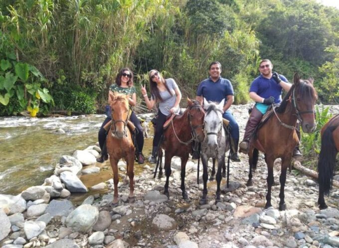 Cocora Valley: Salento & Private Horseback Riding Tour - Frequently Asked Questions
