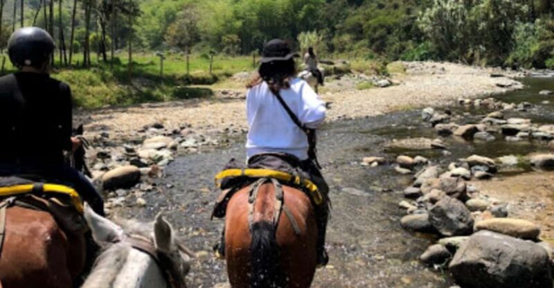 Cocora Valley: Salento & Private Horseback Riding Tour - Guided Tour Experience