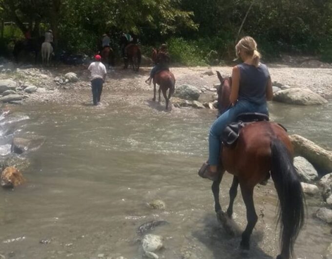 Cocora Valley: Salento & Private Horseback Riding Tour - Recap
