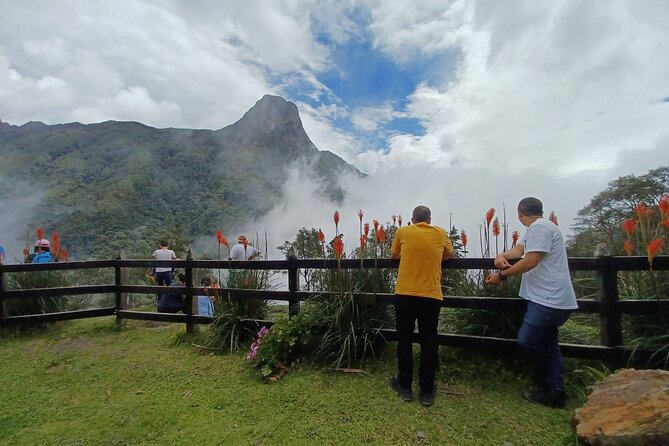 Cocora Valley Tour Hummingbird Circuit - Marveling at Natural Landscapes