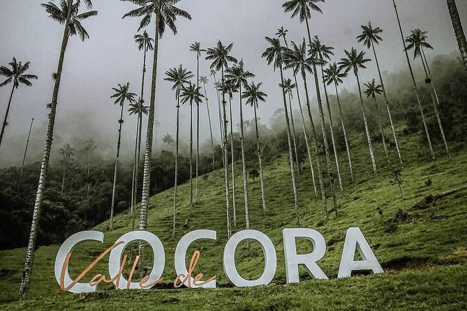 Cocora Valley Tour Hummingbird Circuit - Suspension Bridges and Cloud Forest