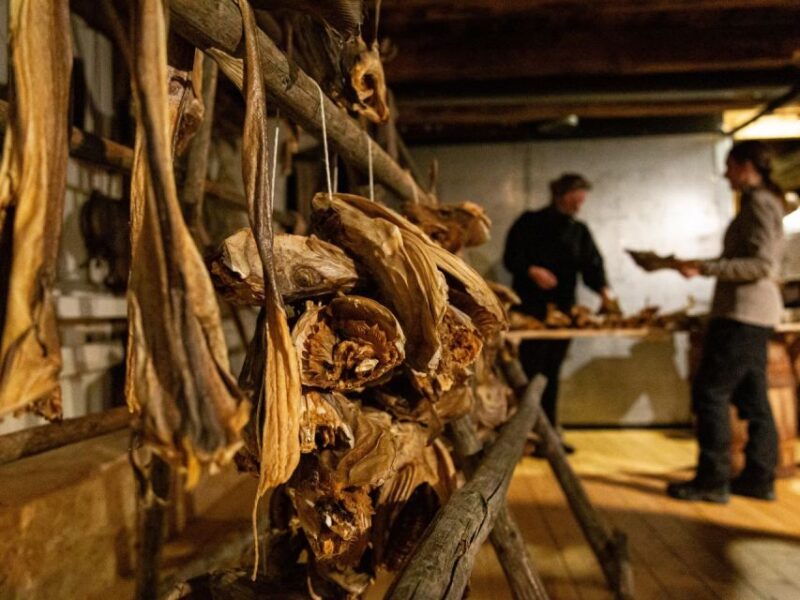 Cod Tasting Experience, Norwegian History and Food Culture - Sea Sami Cultural Exhibition