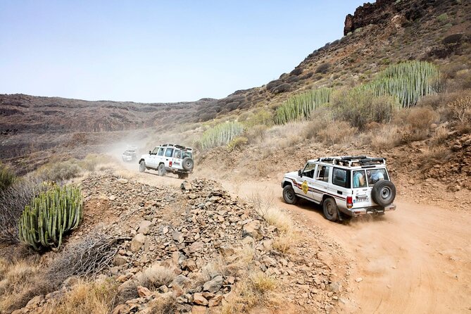 Cofete Sunset 4x4 Safari With Dinner in Punta De Jandia - Additional Information