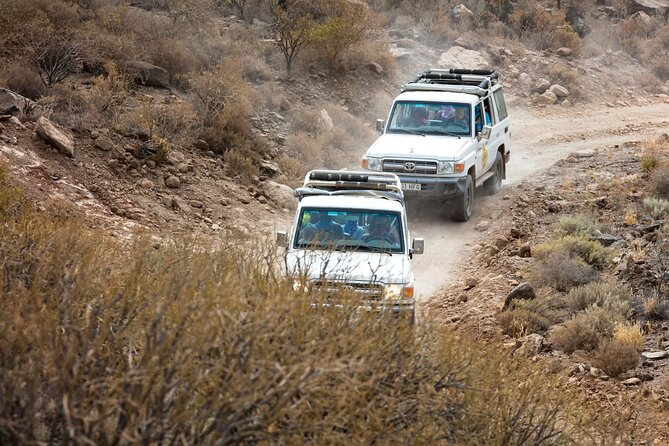 Cofete Sunset 4x4 Safari With Dinner in Punta De Jandia - Schedule and Availability