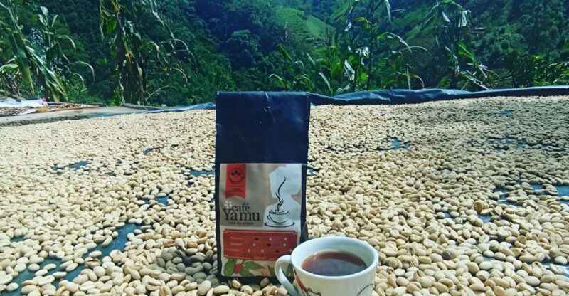 Coffe Tour: Land Rover Adventure, With Harvest and Tasting. - Key Points