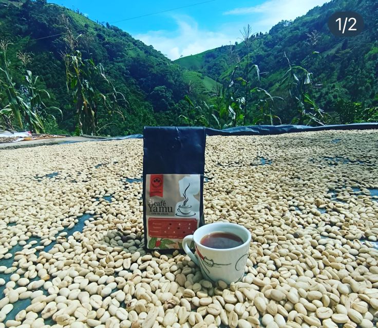 Coffe Tour: Land Rover Adventure, With Harvest and Tasting. - Recap