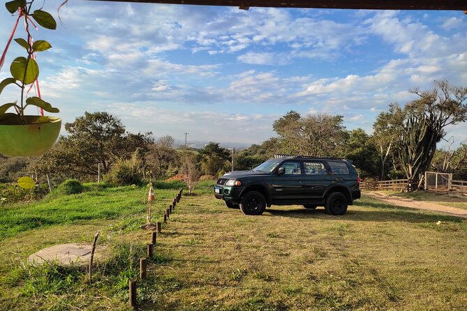Coffee and Cheese Farms Tour – Breakfast, Lunch, Cheese and Coffee Tastings - Itinerary Highlights