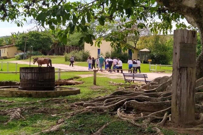 Coffee and Cheese Farms Tour – Breakfast, Lunch, Cheese and Coffee Tastings - Customer Feedback