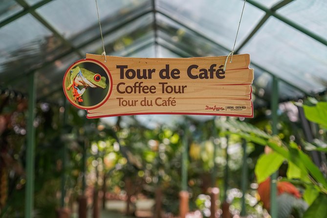 Coffee and Chocolate Regular Tour - Guide Expertise