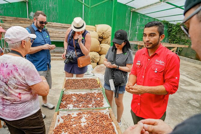 Coffee, Chocolate & Sugar Cane Tour (Regular) - Sugar Cane Juicing Activity