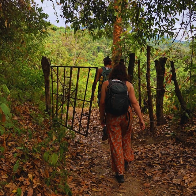 Coffee, Cocoa and Trekking Tour in Minca: Nature, Crops and Production - Key Points