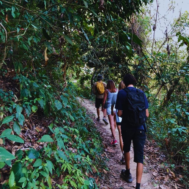Coffee, Cocoa and Trekking Tour in Minca: Nature, Crops and Production - Coffee and Cocoa Cultivation