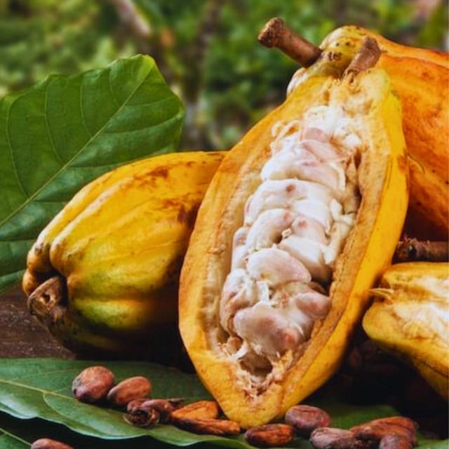 Coffee, Cocoa and Trekking Tour in Minca: Nature, Crops and Production - Trekking Through Natural Trails