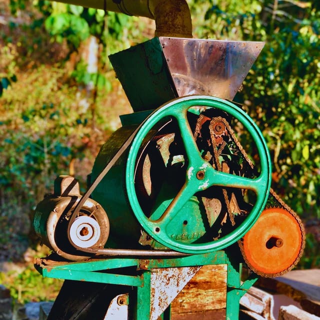 Coffee, Cocoa and Trekking Tour in Minca: Nature, Crops and Production - Recap