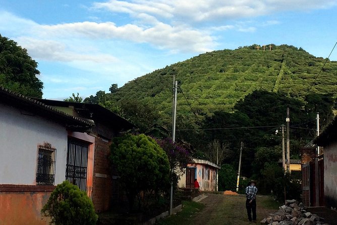Coffee Country and Ruta De Las Flores. a Day Full of Fun! - Strolling Atacos Colorful Streets