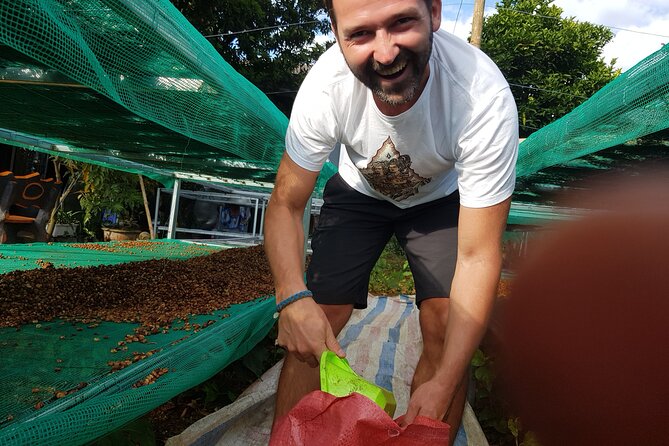 Coffee & Culture Experience _From Farm to Cup by Elon Farm - Pricing and Accessibility