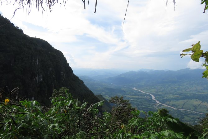 Coffee Culture Tour: a Visit to the Most Beautiful Coffee Farm in the World - Key Highlights of the Itinerary