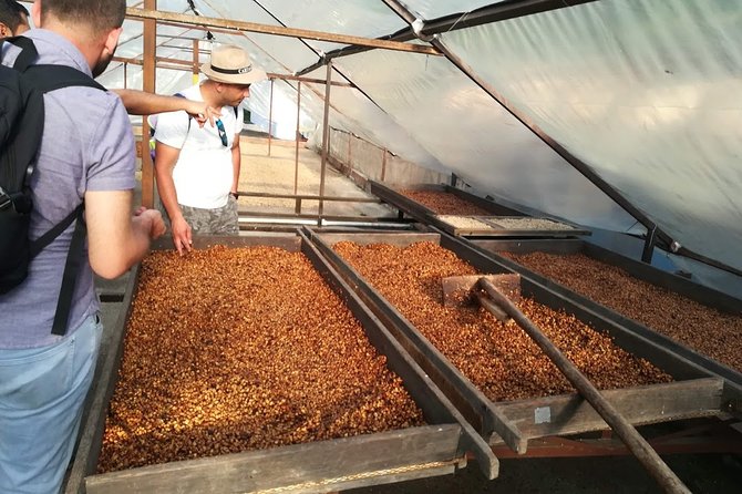 Coffee Experience - Coffee Tour in Medellin - Specialty Coffee Filtering Methods