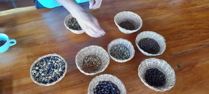 Coffee Experience: Daily Departure From Salento - Itinerary and Transportation