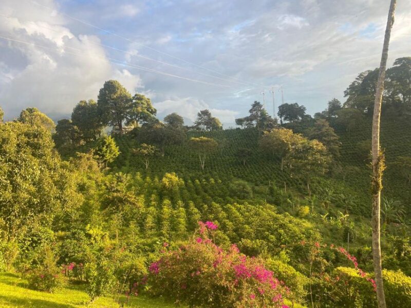 Coffee Experience: Daily Departure From Salento - Frequently Asked Questions