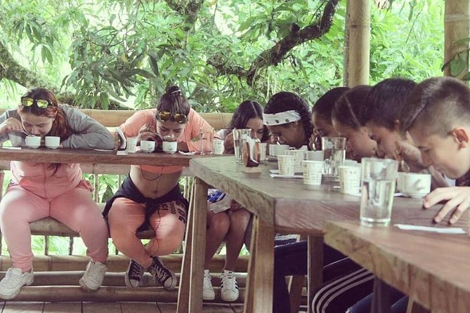 Coffee Experience - Finca in Fredonia - Coffee Tasting and Sampling