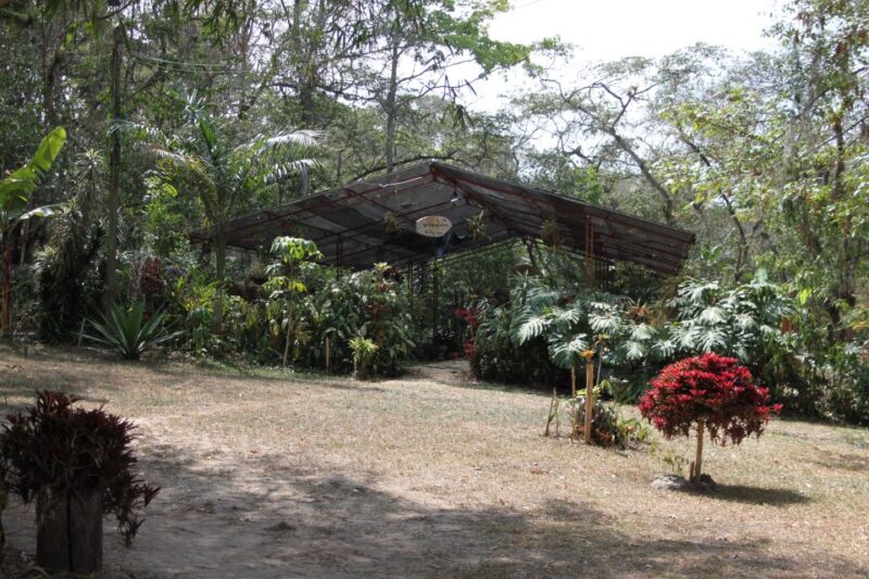 Coffee Experience: Hacienda Coloma Tour From Bogotá - Key Points